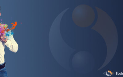 Offre spéciale janvier 2019 Maître Praticien PNL