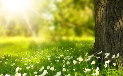 La newsletter d’avril 2019