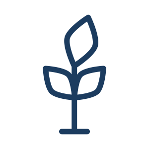 Pictogramme formation base de la PNL - Ecole de PNL de Lausanne - EPNLL